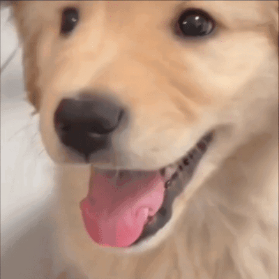 400_400gif 动态图 动图