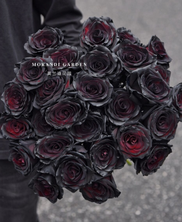 厄瓜多尔进口玫瑰品种图鉴,你最喜欢哪一款?