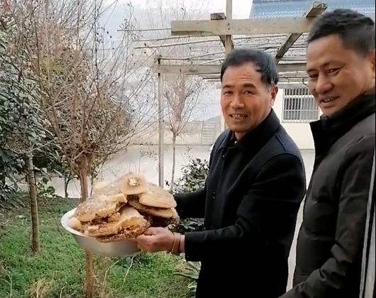 杂物柜中藏蜂巢丨南京市高淳区太安圩局工作人员喜获意外节日礼