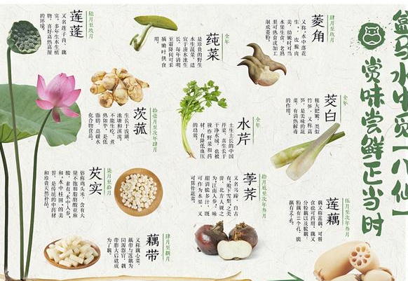 消夏时令菜"抢鲜"上市,江南"水八仙"成当季新宠