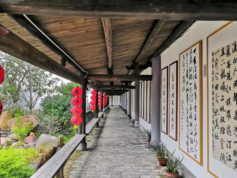 龙岩长汀南坑村:三举措破解乡村人才紧缺难题