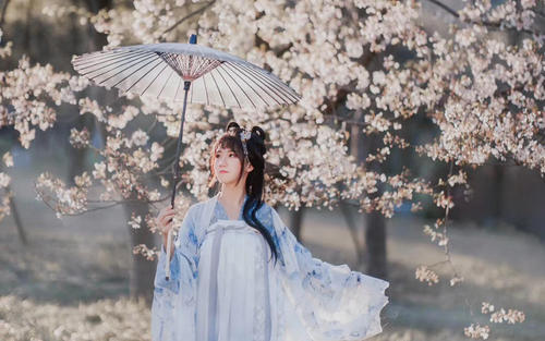 《极品人生》陈浩叶心仪章梅(易克1)全文阅读「全章节」