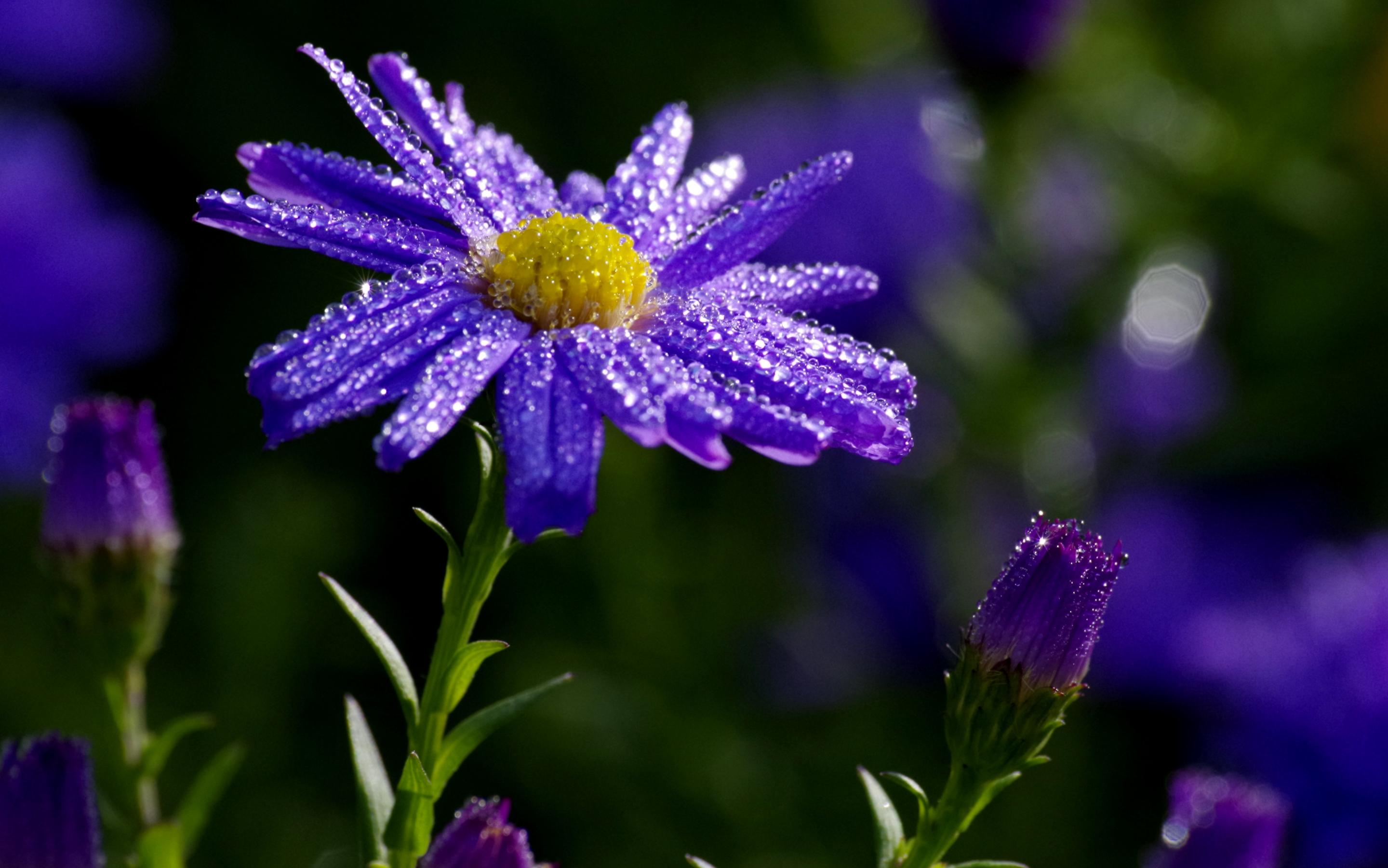 无论多爱一个人,如果对方不联系你了,如此处理才最有格局