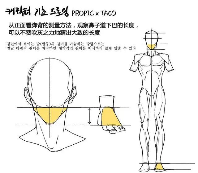 最後再重點講下臉部的比例畢竟一個人物畫得是否傳神臉部帶來最直接的