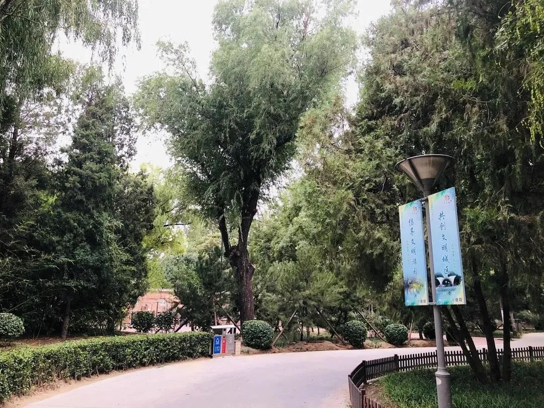 0版的大兴康庄公园您去过了吗?