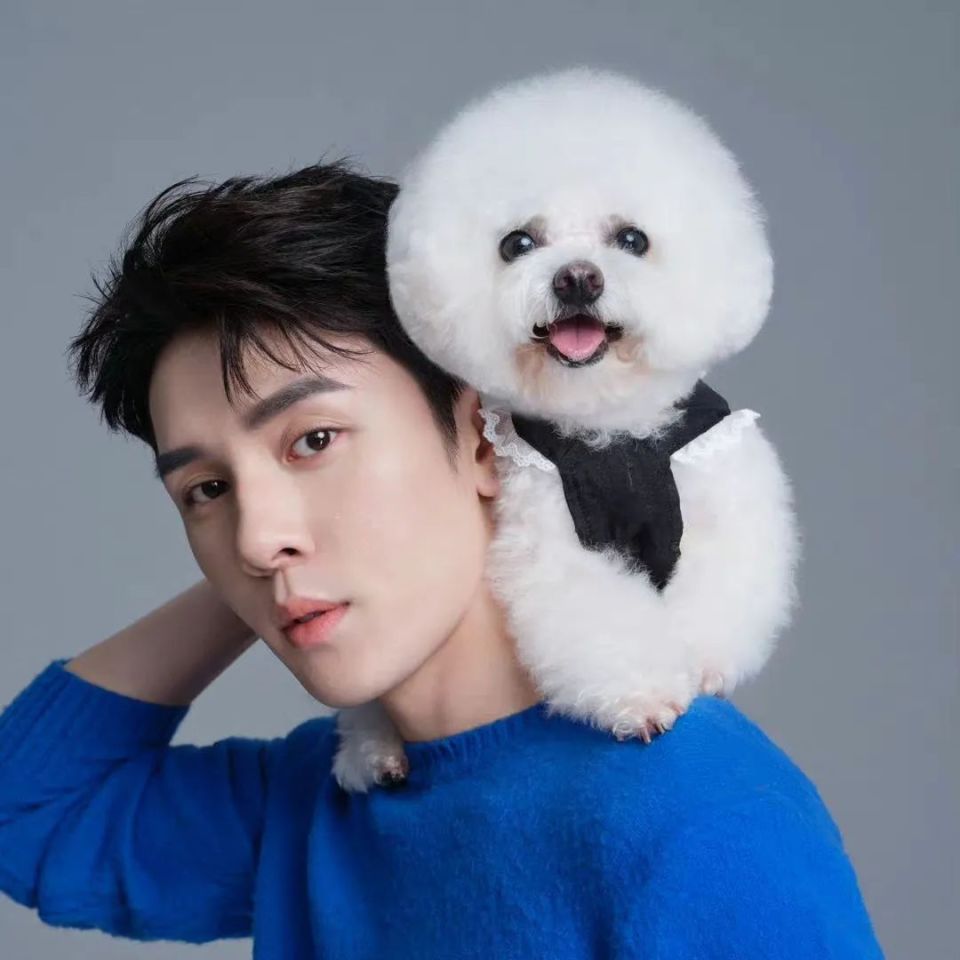 李佳琦双十一销量额250亿,曾因言论引发争议,或将面临退货风险