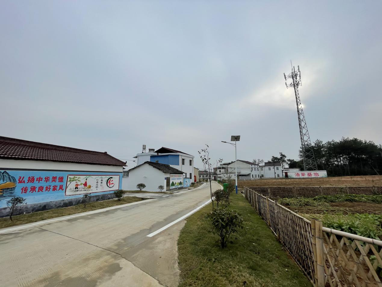 怀宁县三桥镇:美丽乡村留乡愁 乡村振兴绘新卷