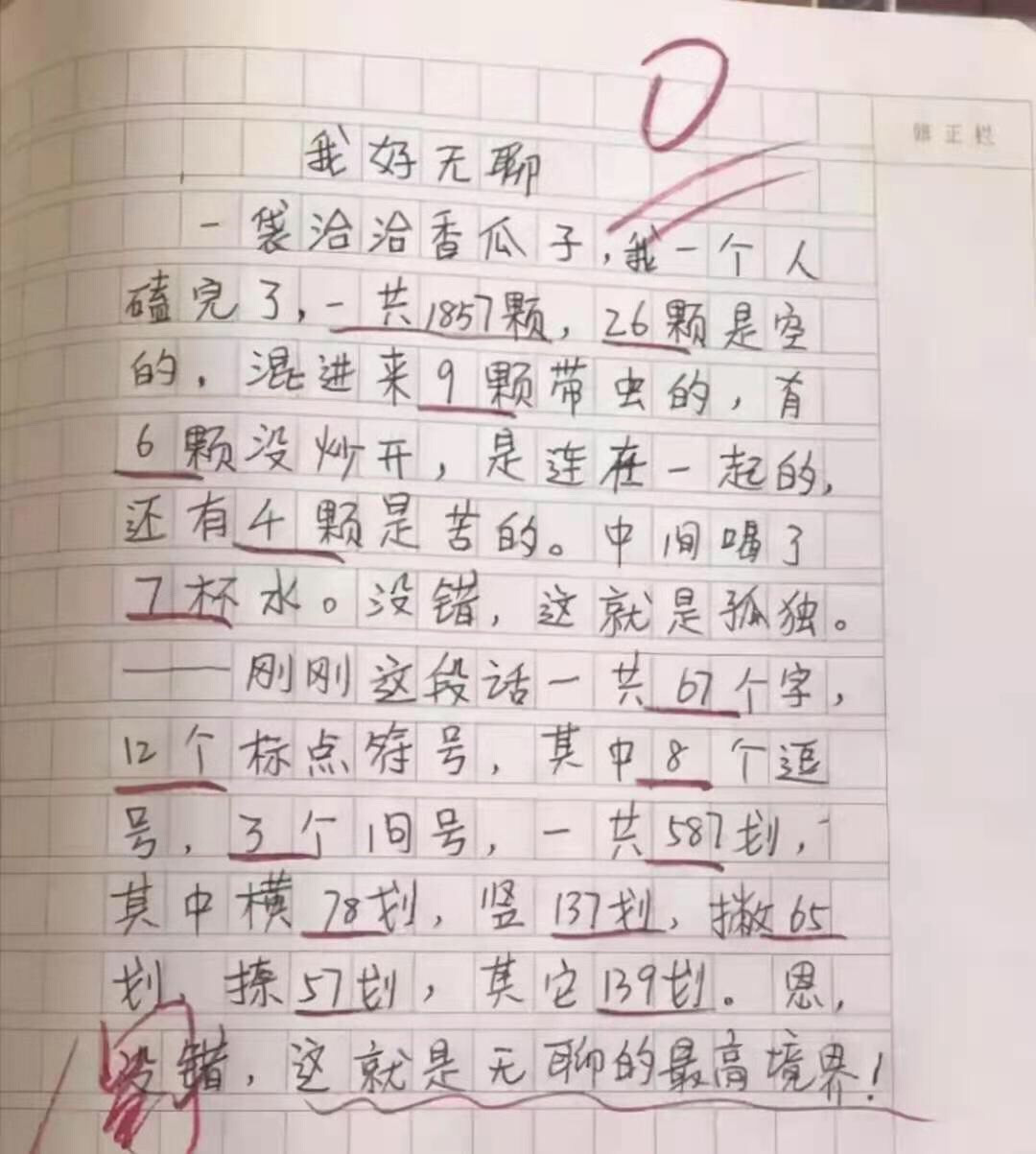 小学生搞笑文章图片