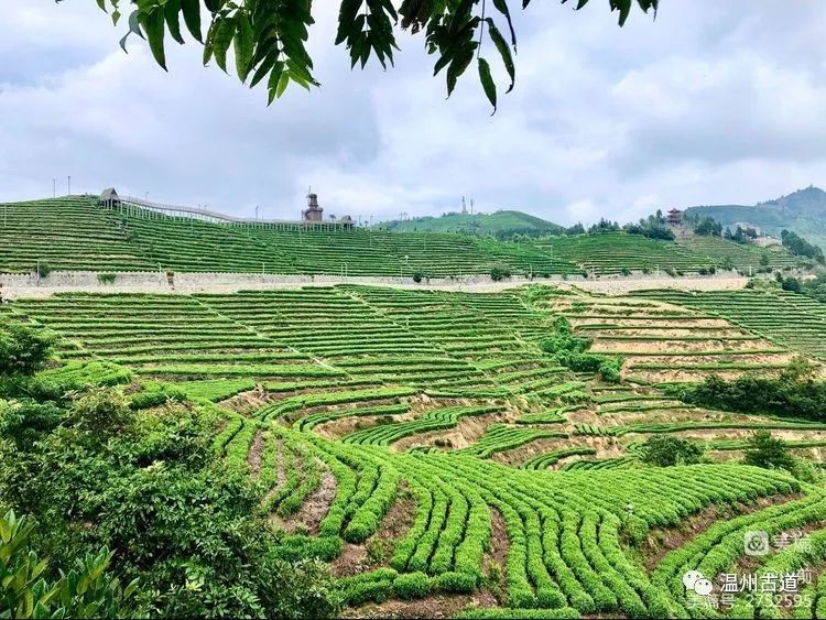 临海羊岩山风景区图片图片