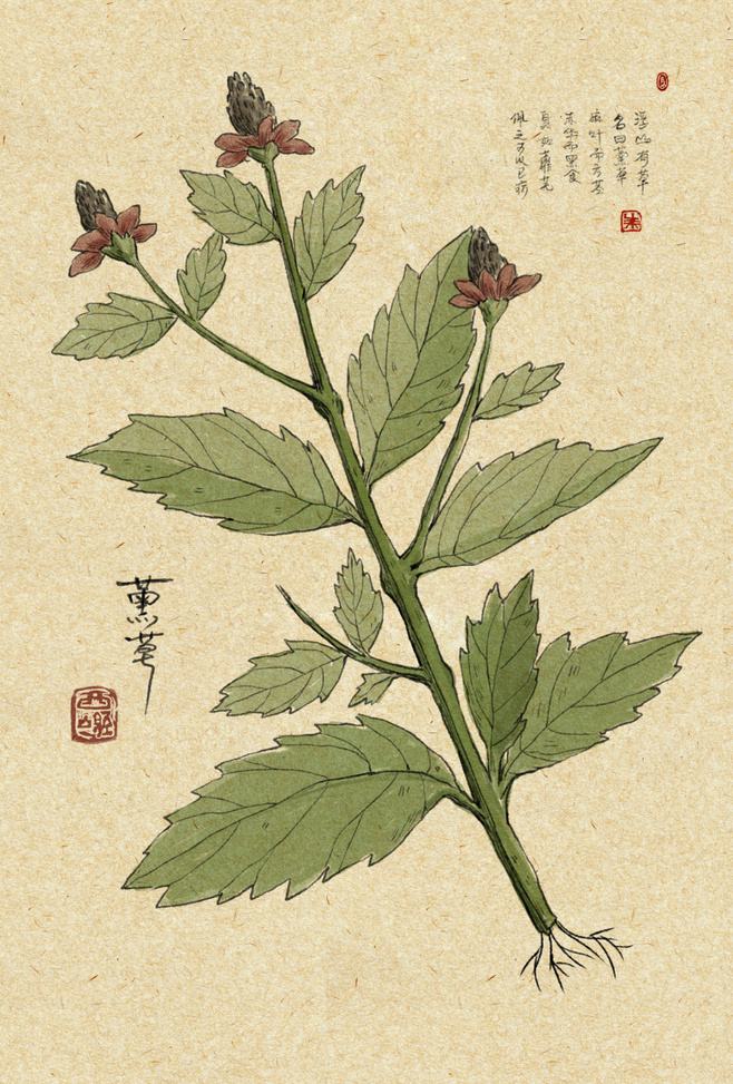 《山海经》中匪夷所思的动植物有什么作用?有的吃了可以不饿?