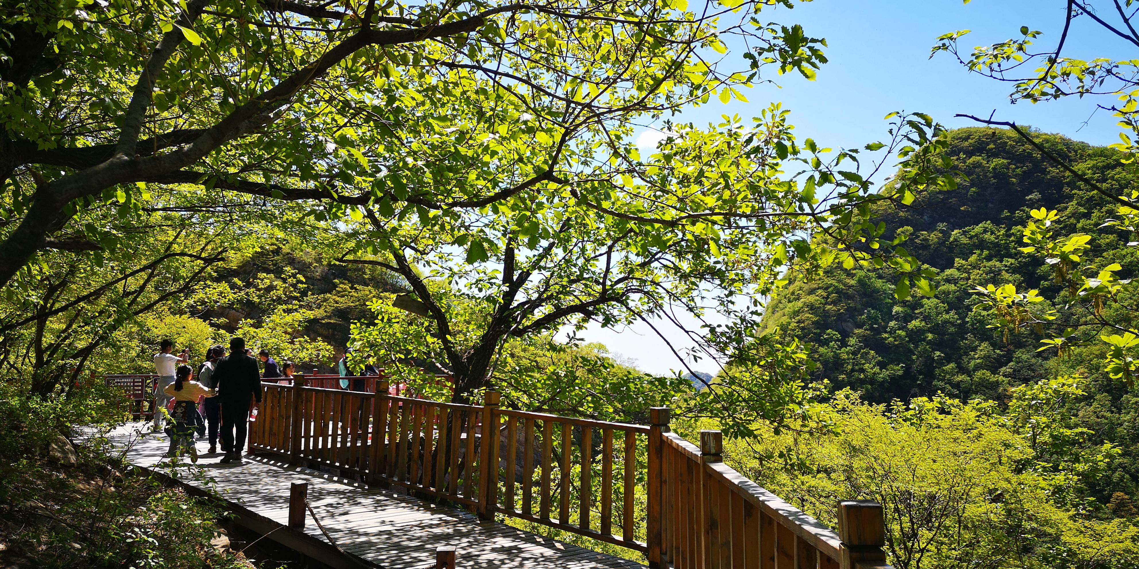 天津梨木台风景区旅游图片