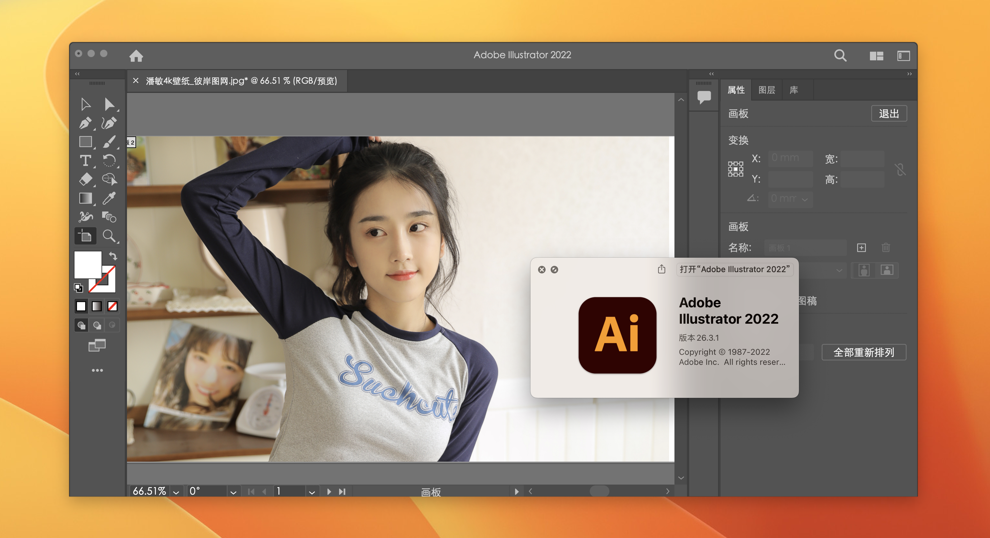 illustrator 2023 for mac(ai mac破解版 )安装教程