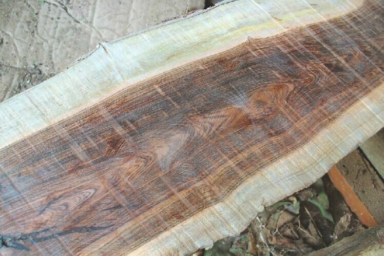 十大名贵木材排名图片