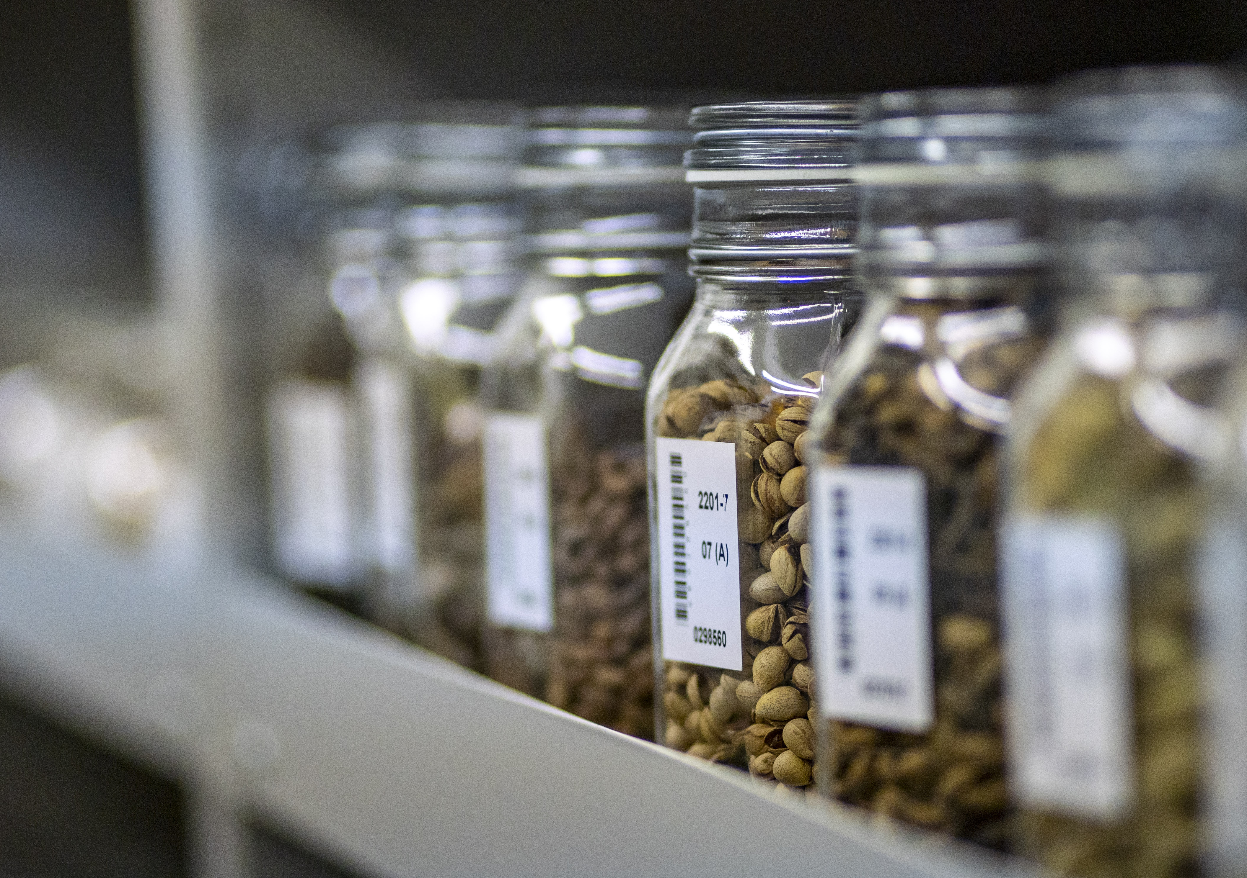 种子库下载_种子库怎么样 种子库下载_种子库怎么样 种子库下载_种子库怎么样(种子库的种子是正品吗) 磁力资讯