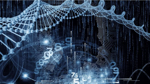 生物计算机被广泛应用于多种领域,具有着广阔的发展前景