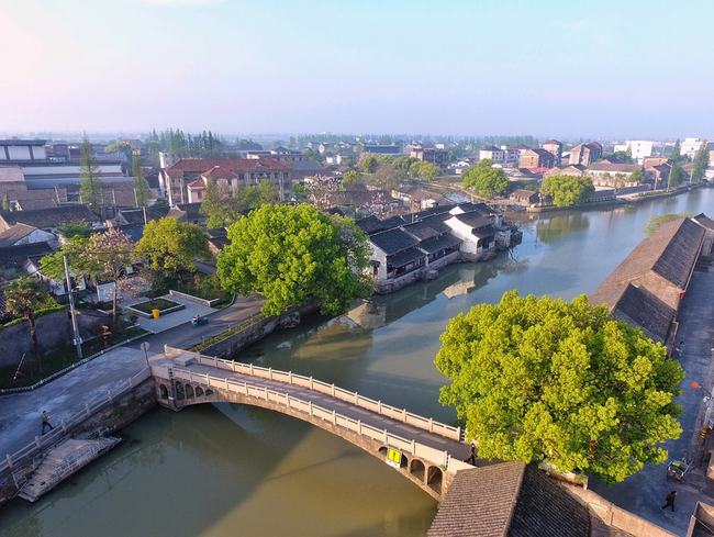 沈荡镇又拿下省级荣誉!