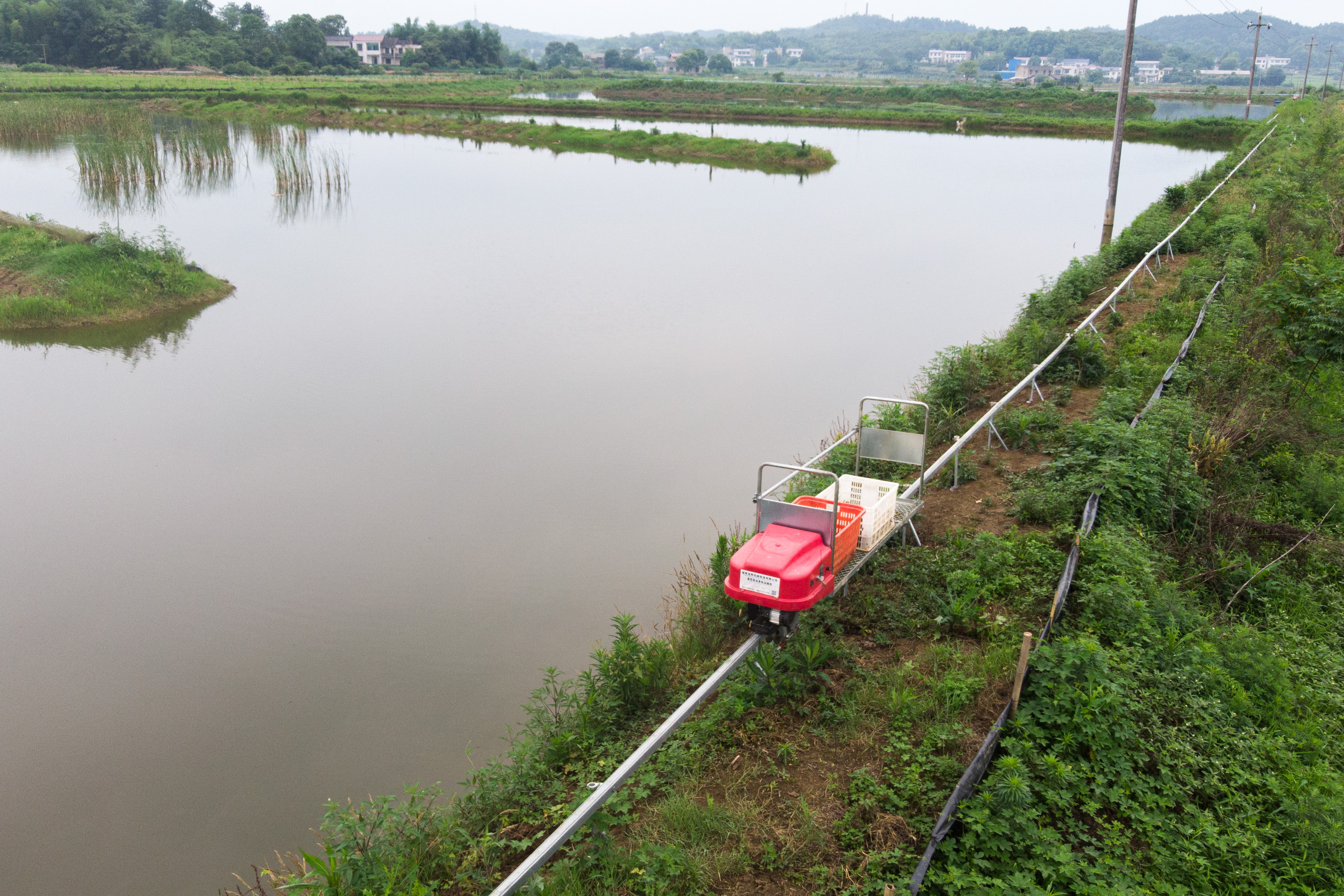 湖南湘潭一养殖基地为小龙虾建起小火车
