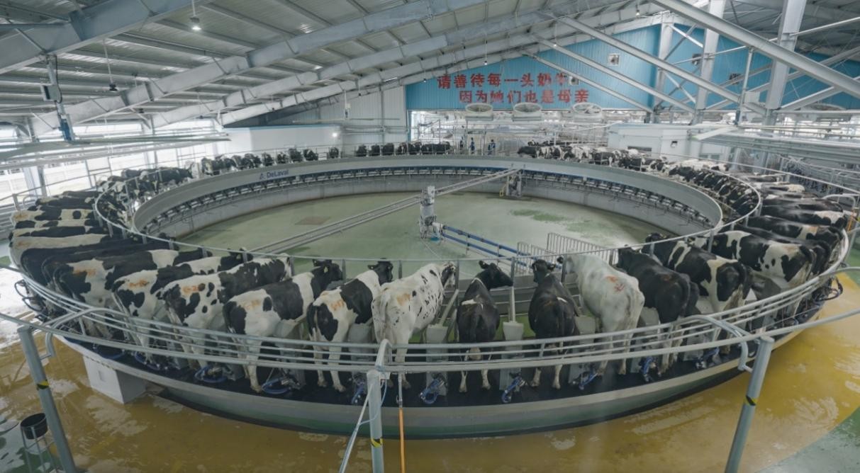 严选原辅料产地 简爱酸奶坚守品牌初心与使命