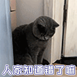 270_270gif 动态图 动图