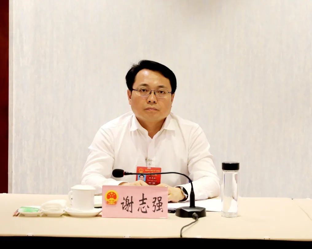 大名县代表团认真讨论审议市政府工作报告