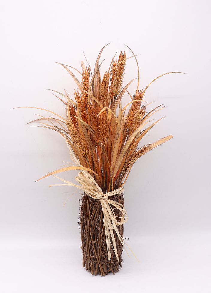 麦穗的花语和寓意