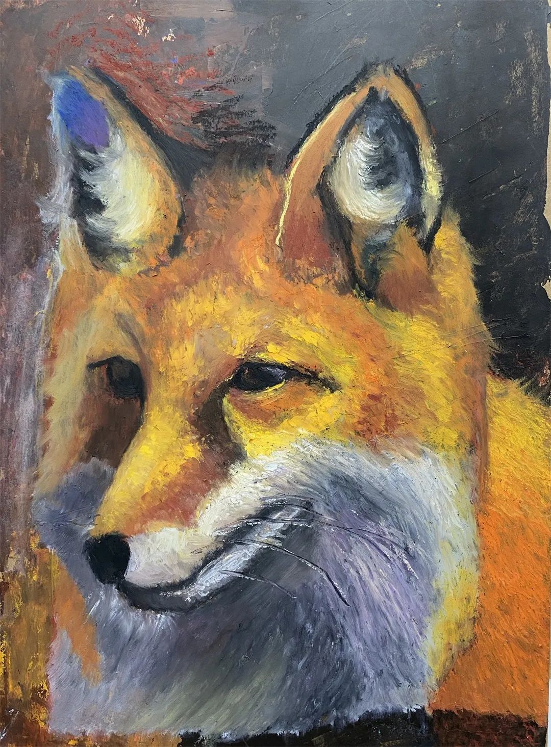 野保月|爱"沪"野生动物绘画作品展示——兽类篇