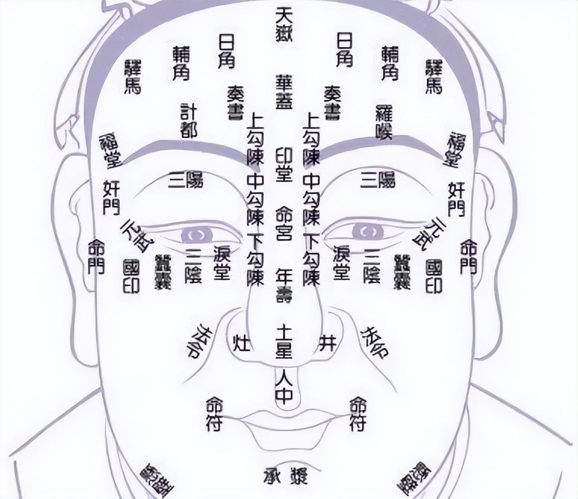 人看四相,首重面相