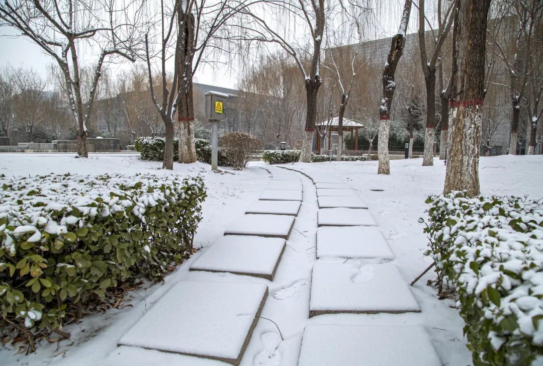 河北民族师范学院雪景图片