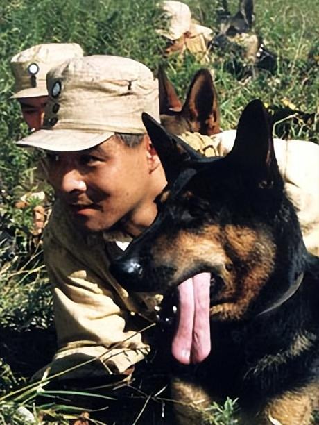 《犬王》导演姚守岗:为艺术炸死功勋犬,笑着说心里其实也不好受