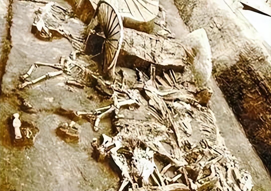 74年京郊发现木炭紧急上报,黄作珍指示:请示出动工兵,拨款10万