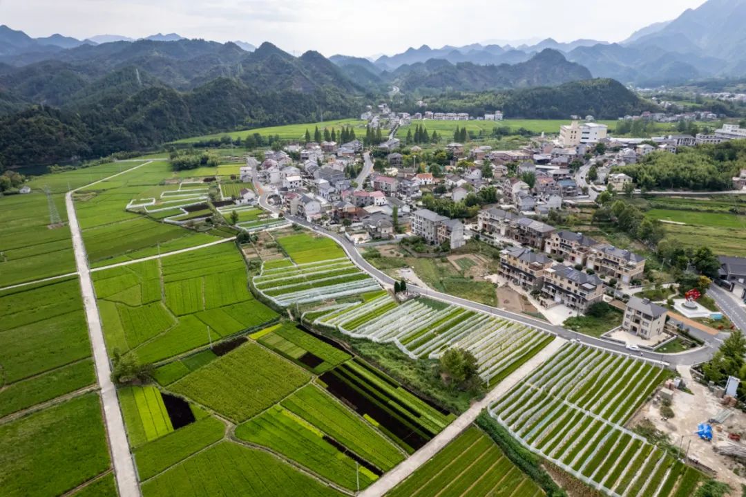 临安这个村获评浙江省美丽宜居示范村