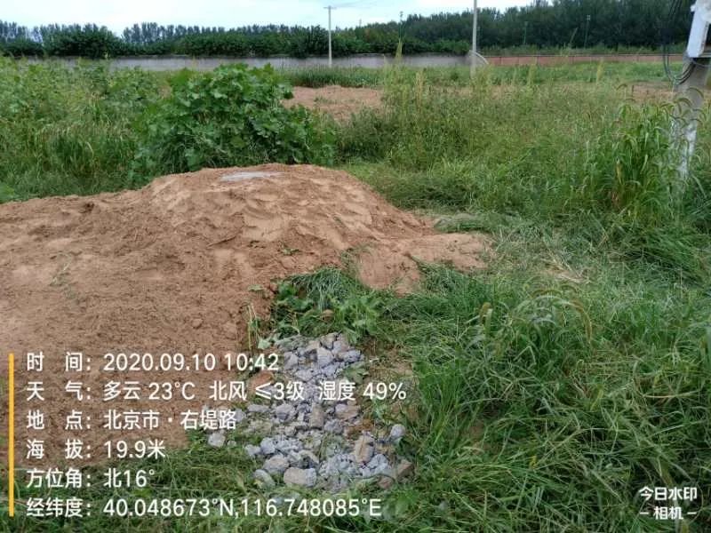 |说好的复耕呢？北京顺义这块百亩农用地仍只见野草不见苗