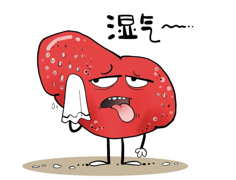 最好的祛湿方法其实就是补阳,3个补阳中成药,帮你解决身上湿气