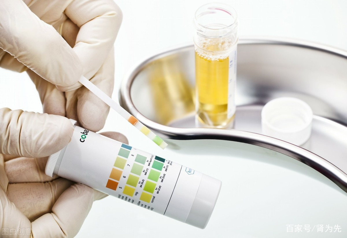 肾病患者检查出蛋白尿，如何诊断、评估与治疗？