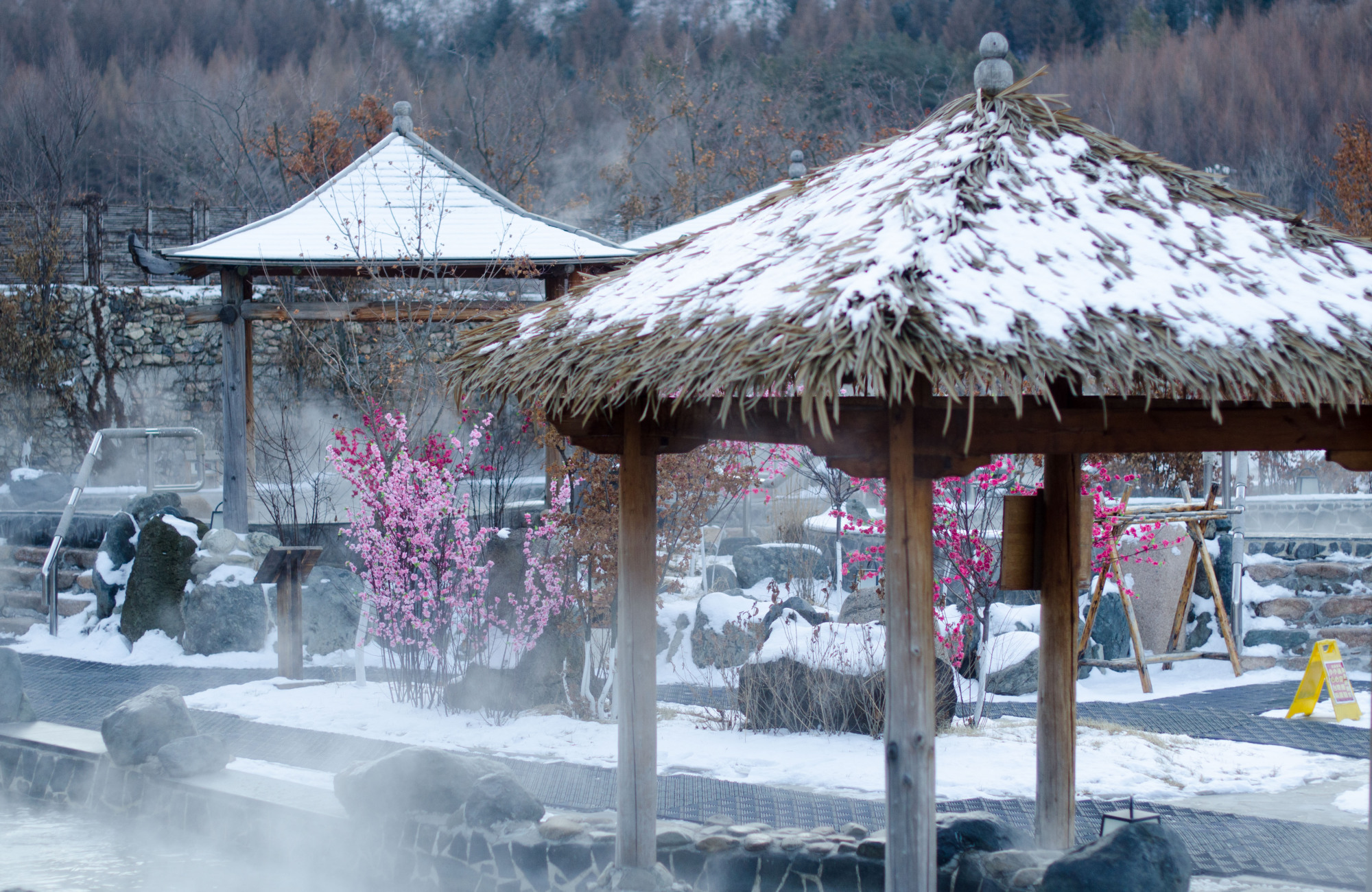东北的奇特温泉:媲美北海道温泉,而游客却喜欢温泉旁的露天泳池