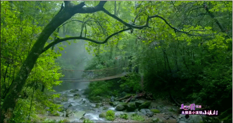 这里也是科学考察,森林旅游和避暑渡假的理想之地.