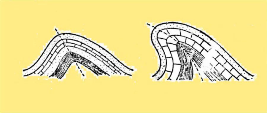 褶皱构造向斜图片
