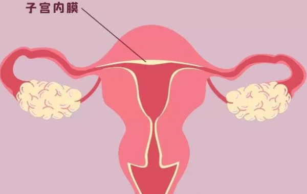试管婴儿移植的内膜厚度是多少(试管婴儿移植的内膜厚度是多少正常)