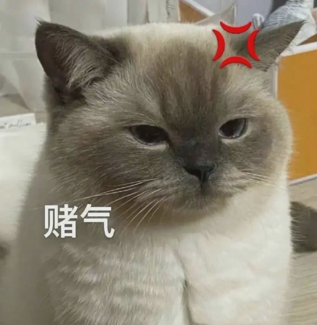 别看猫咪智商只有人类的3岁,但其实猫咪也不傻,如果你对他不好,它们