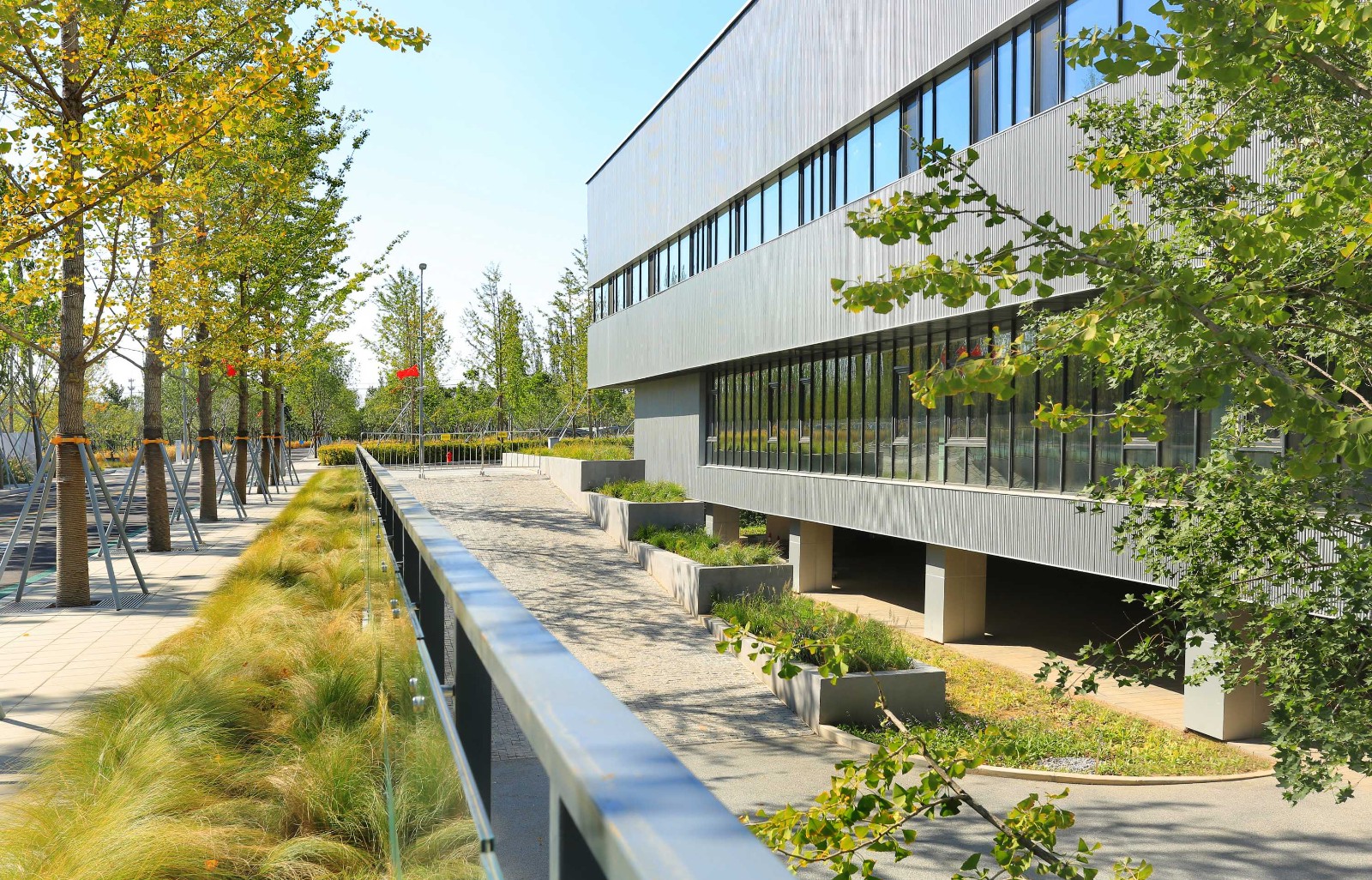 世界人居网·精品丨未来之城:雄安新区市民服务中心景观设计