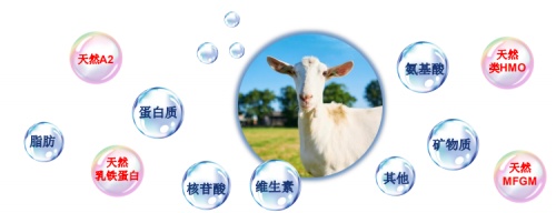 喝羊奶有什么好处?羊奶粉的功效与作用是什么