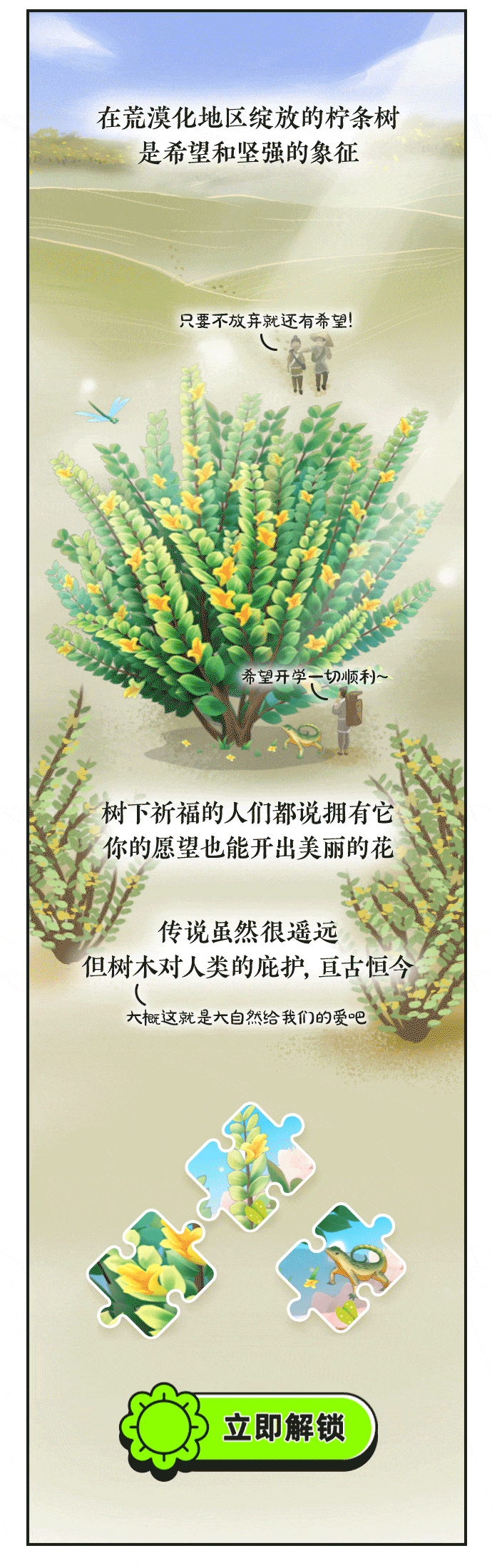 送你一棵开花的柠条树