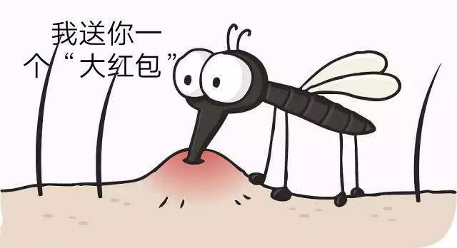 蚊子最大的天敌,竟然不是蚊香?只需5分钟,蚊子不见了