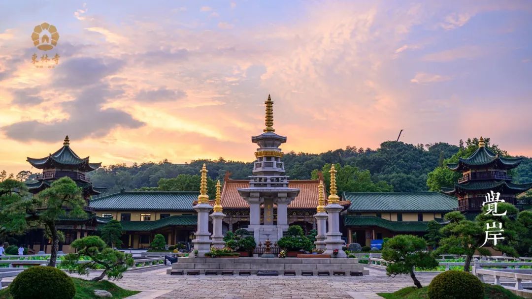 庐山东林寺莲花壁纸来啦!电脑,平板,手机版本都有哦!