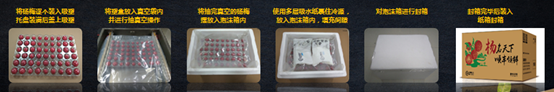 颗颗独立的杨梅寄递包装