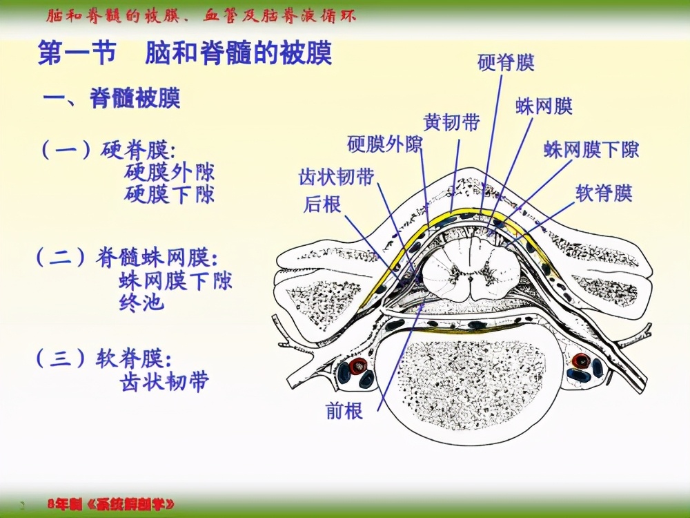 脊膜膨出与脊膜脊髓膨出,主要由于先天性畸形导致,治疗依靠手术