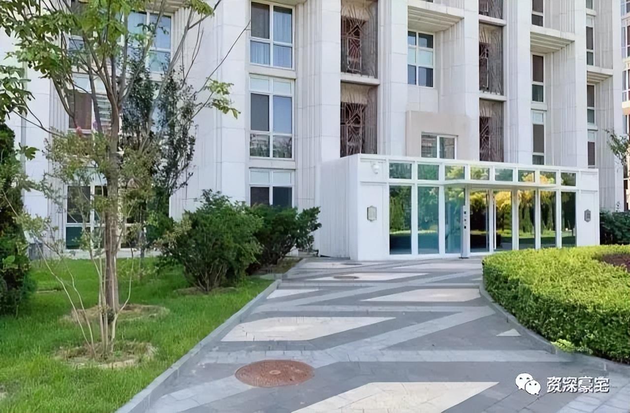 东山公寓——朝阳公园 旁的 登顶级 大平层