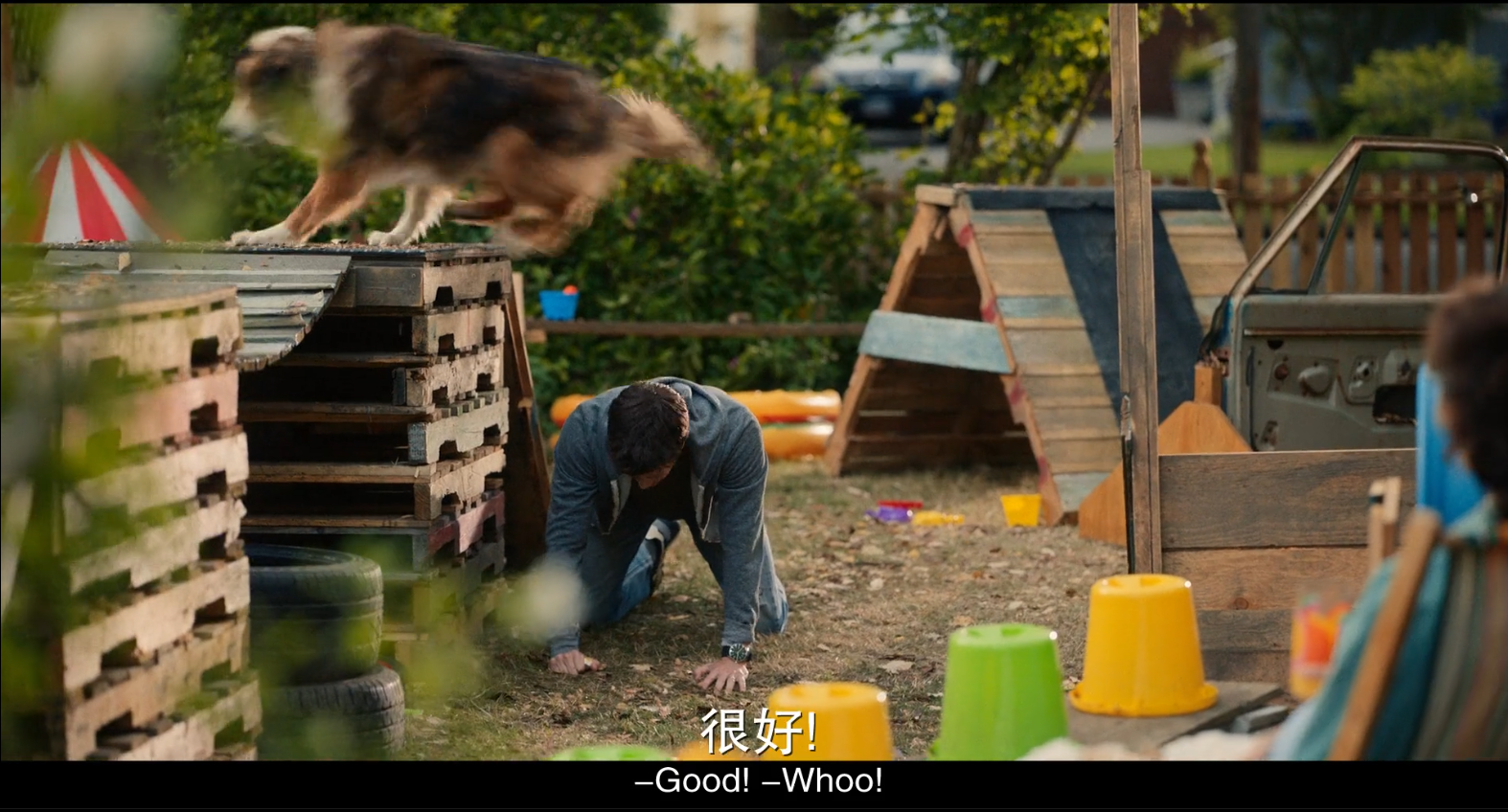 《义犬救主》从收容所到k9搜救犬,一个温暖又励志的传奇故事