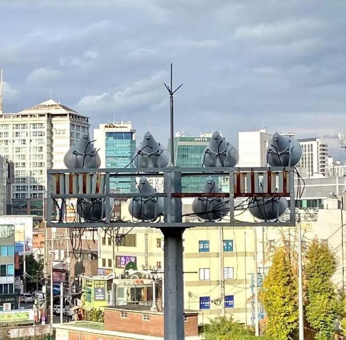 30张不可思议的错觉图,"火眼金睛"也可能会看错