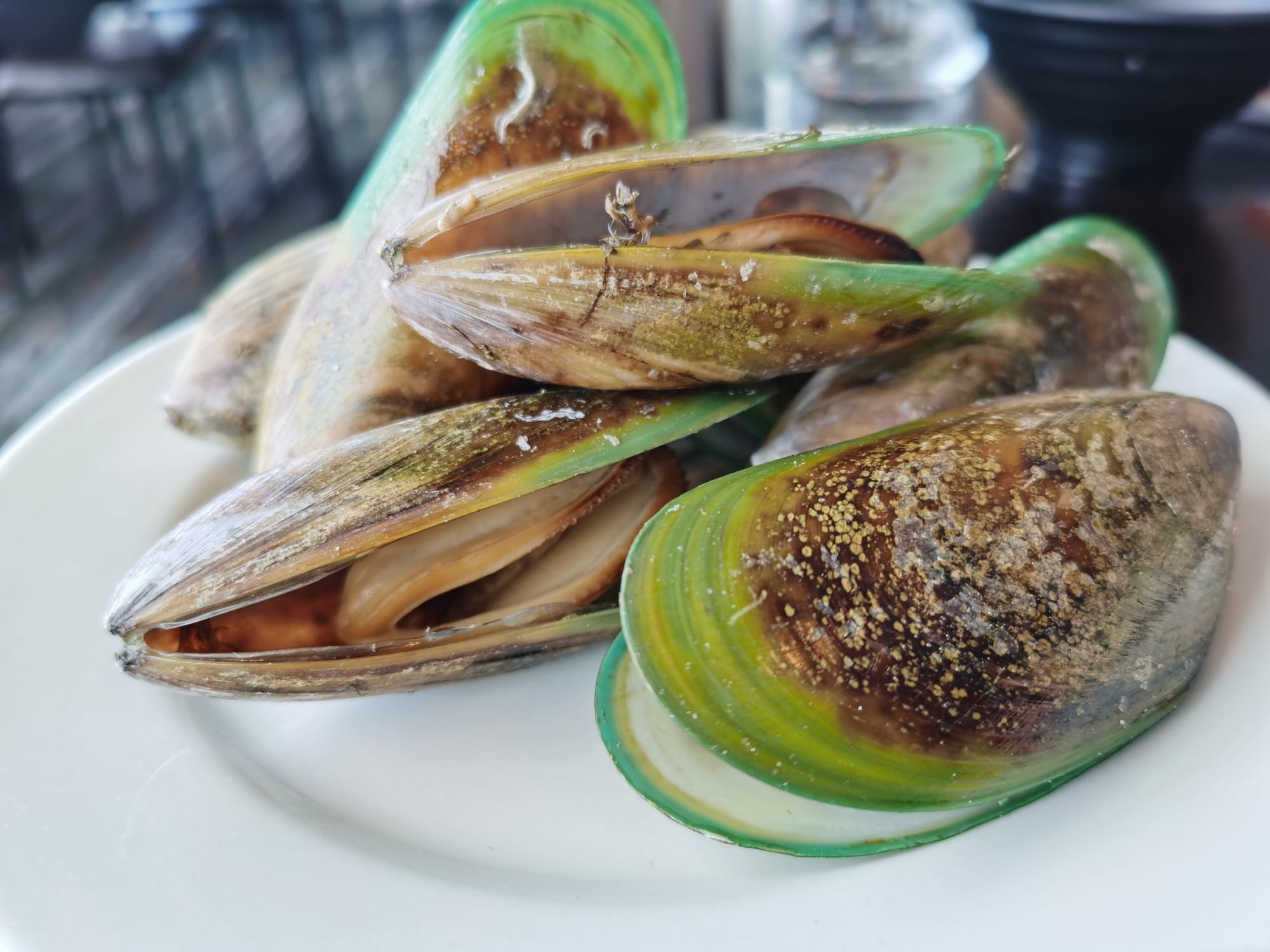 成为你冬季关节的守护者!德国绿唇贻贝为什么更强大?原因在这里